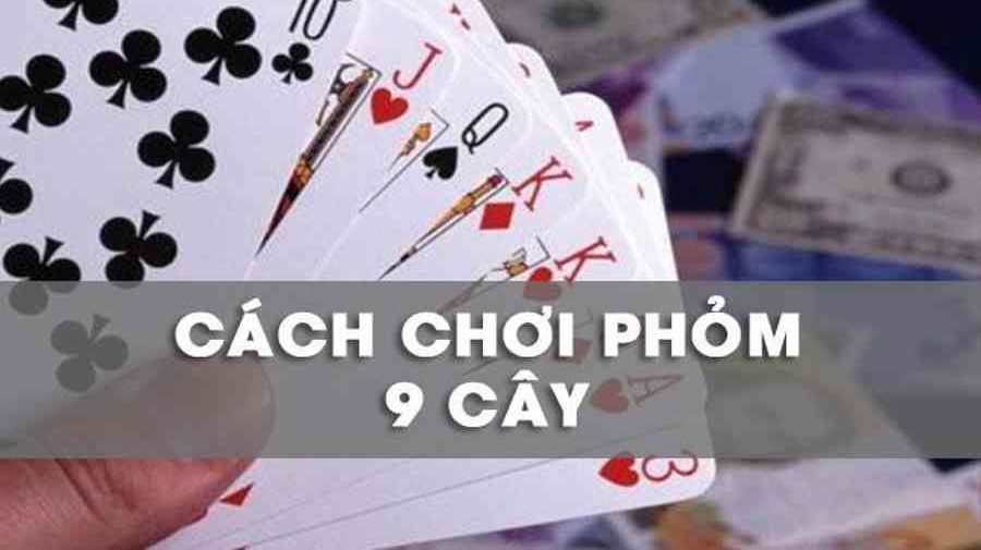 Phỏm 9 Cây - Bí Quyết Và Chiến Thuật Chơi Phỏm Hiệu Quả - Vegas Empire