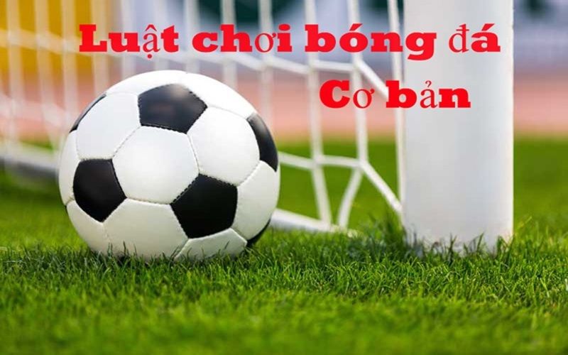 Tìm hiểu các quy tắc cơ bản của bóng đá 11 người tại King Sports