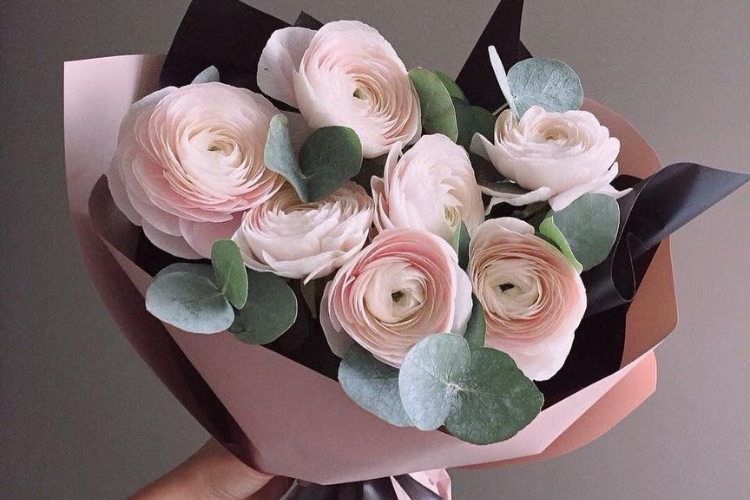 Tìm hiểu cây mao lương là gì, ý nghĩa của nó và cách trồng nó tại nhà.
